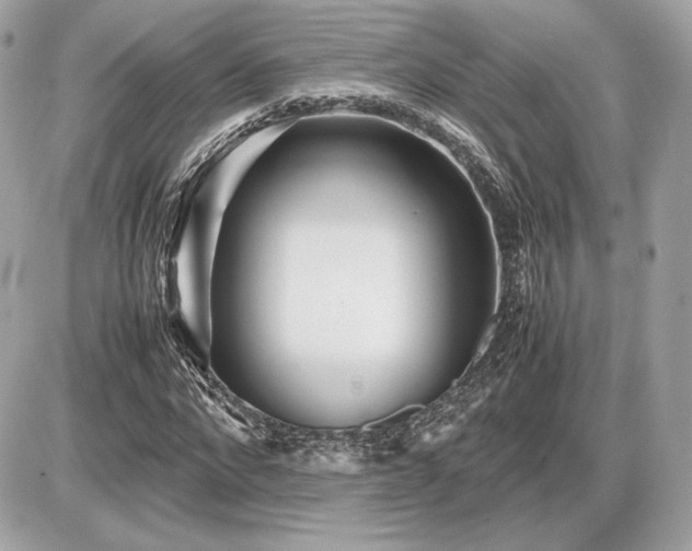 X0000086960872200704161516
