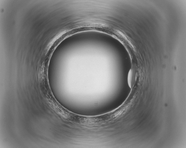 X0000086960875200704161516