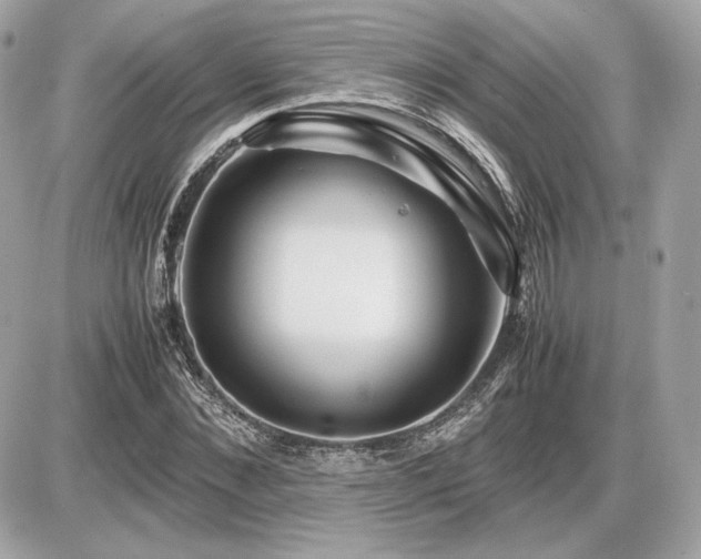 X0000086960876200704161516