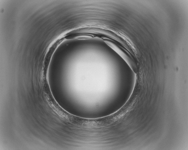 X0000086960880200704161516