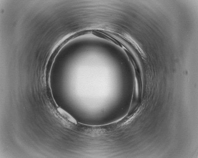 X0000086960884200704161516
