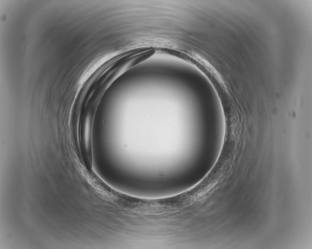 X0000086960885200704161516