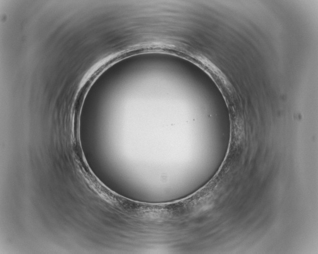 X0000086960886200704161516