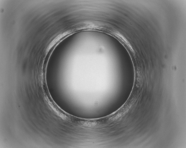 X0000086960890200704161516