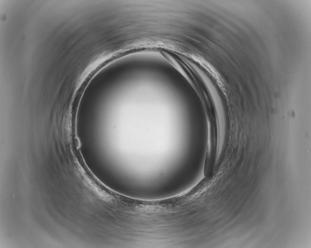 X0000086960894200704161516