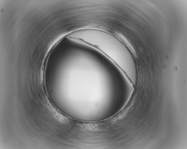 X0000086960900200704161515