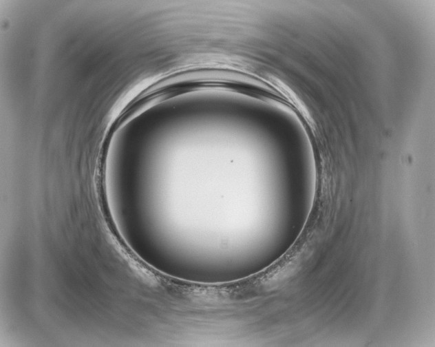 X0000086960901200704161515