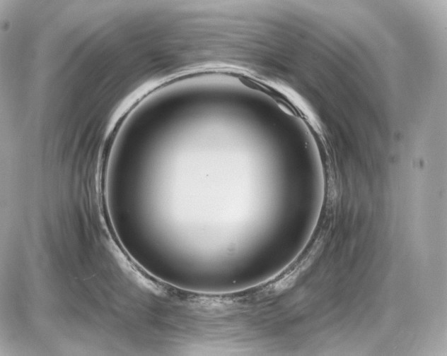 X0000086960910200704161515