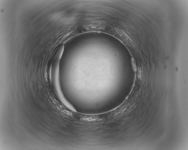 X0000086960915200704161515