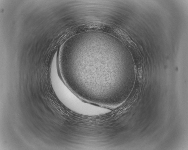 X0000086960916200704161515