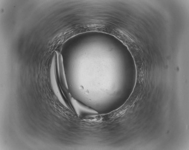 X0000086960917200704161515