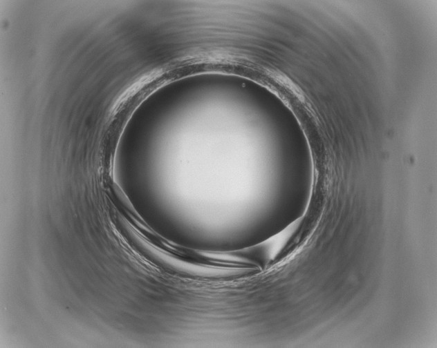 X0000086960922200704161515
