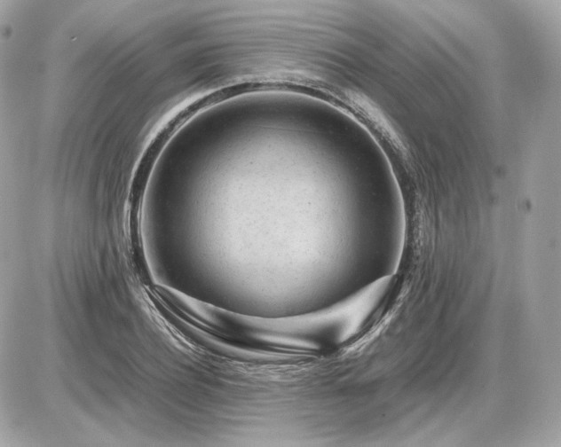 X0000086960932200704161515