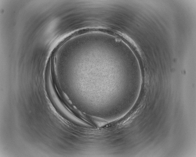 X0000086960935200704161515