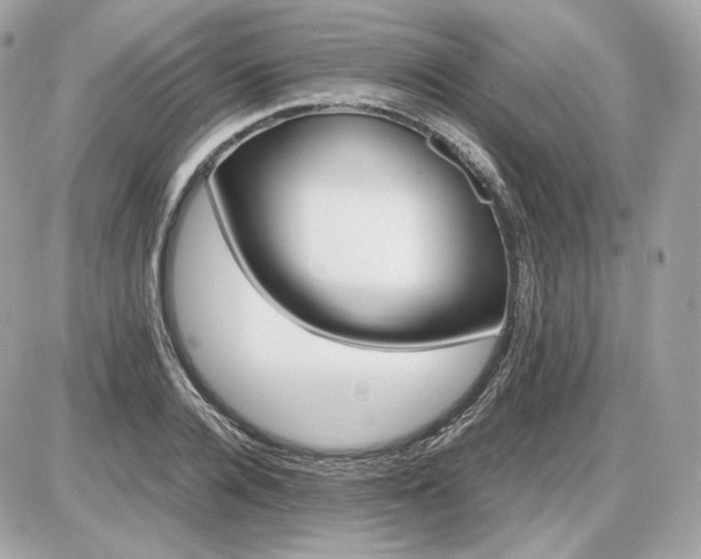 X0000086960936200704161515