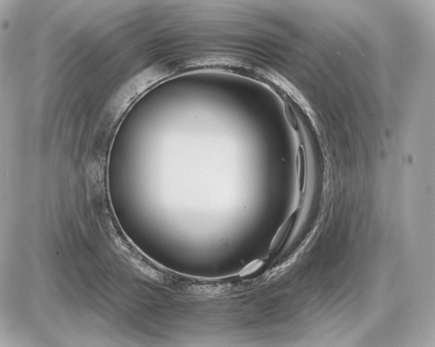 X0000086960937200704161515