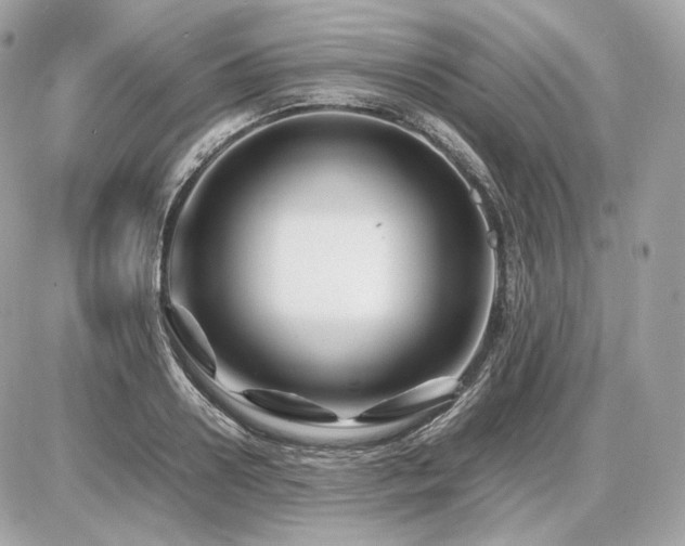 X0000086960938200704161515