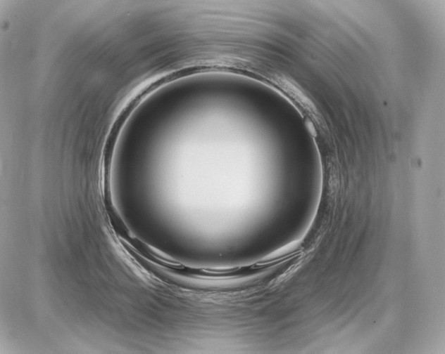 X0000086960940200704161515