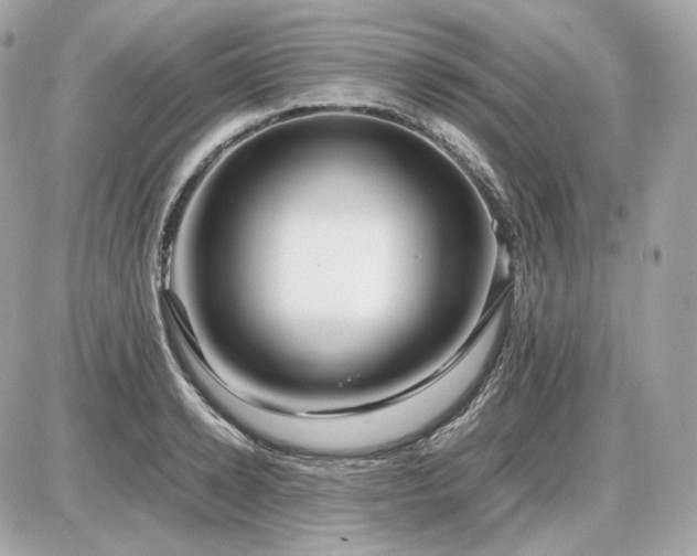 X0000086960942200704161515