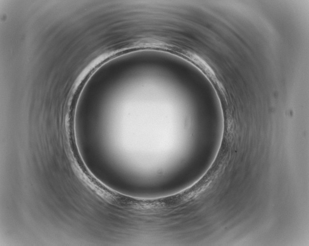 X0000086960947200704161515