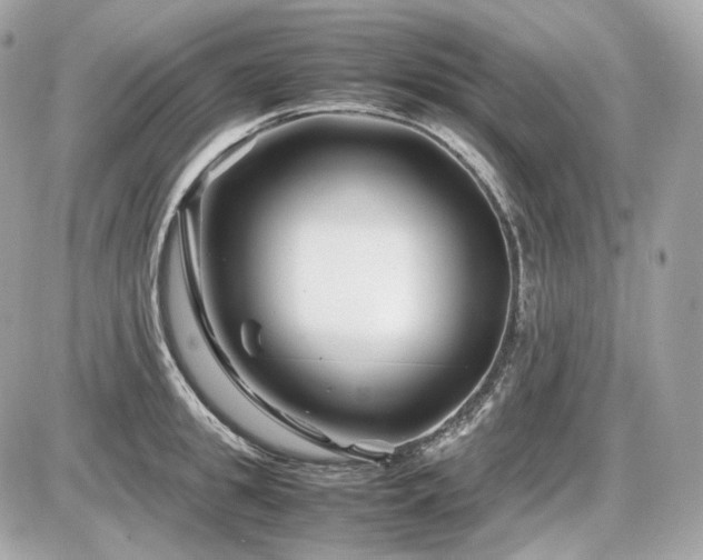 X0000086960949200704161515