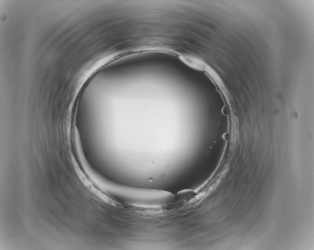 X0000086960957200704161515