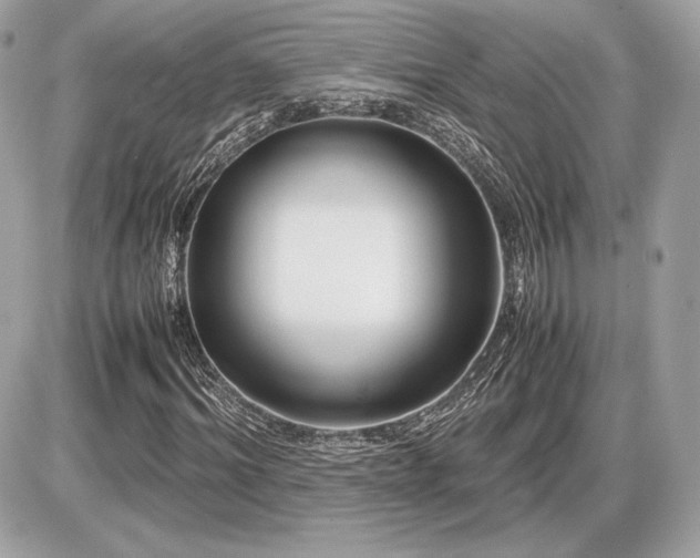X0000086960964200704161514