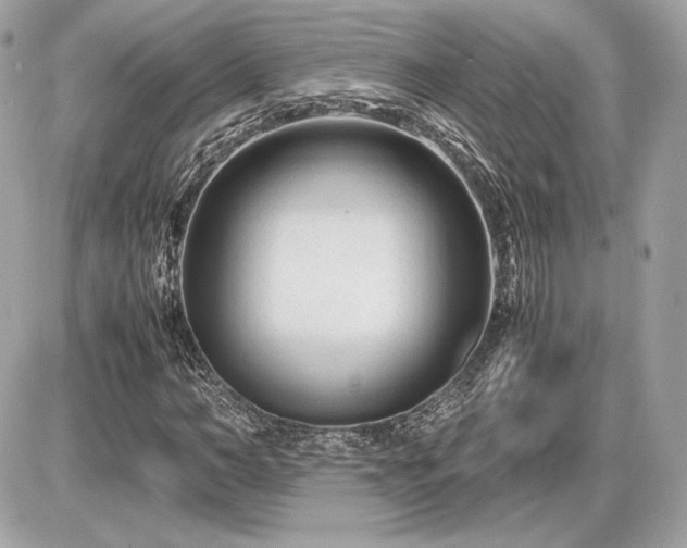 X0000086960966200704161514