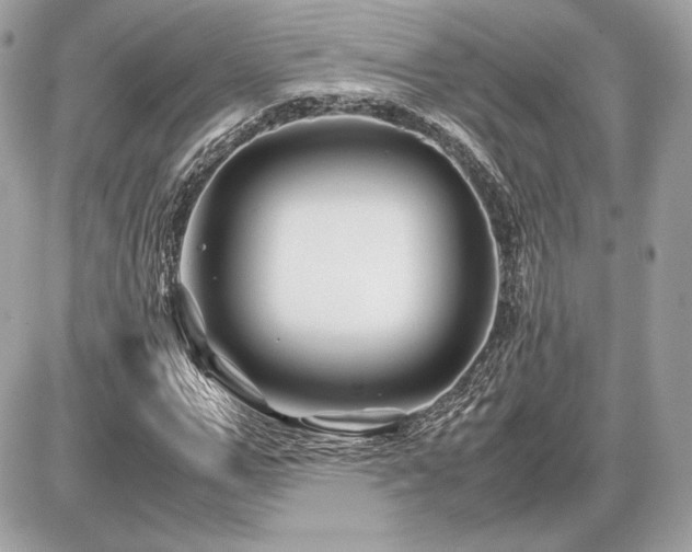 X0000086960967200704161514