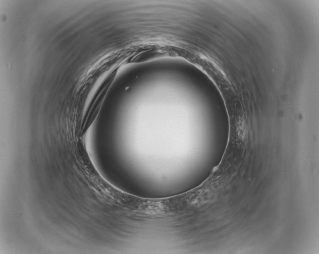 X0000086960968200704161514