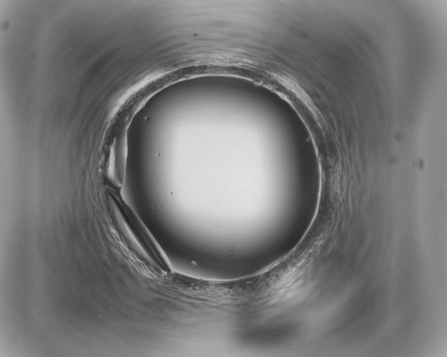 X0000086960971200704161514
