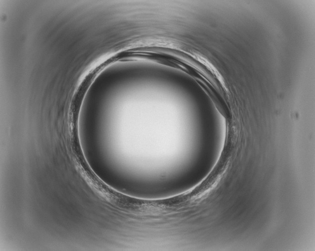 X0000086960981200704161514