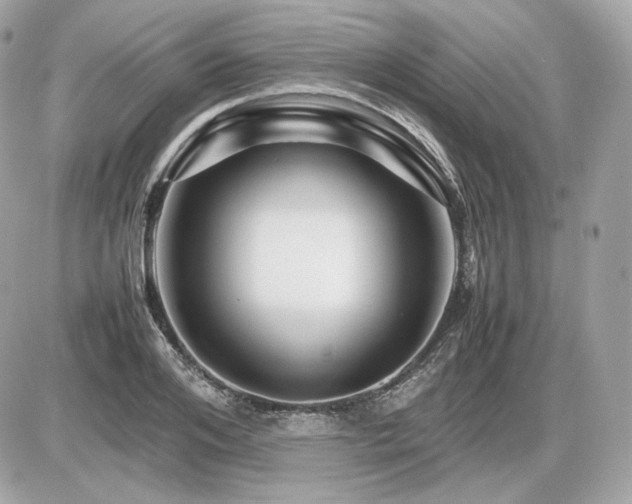 X0000086960984200704161514