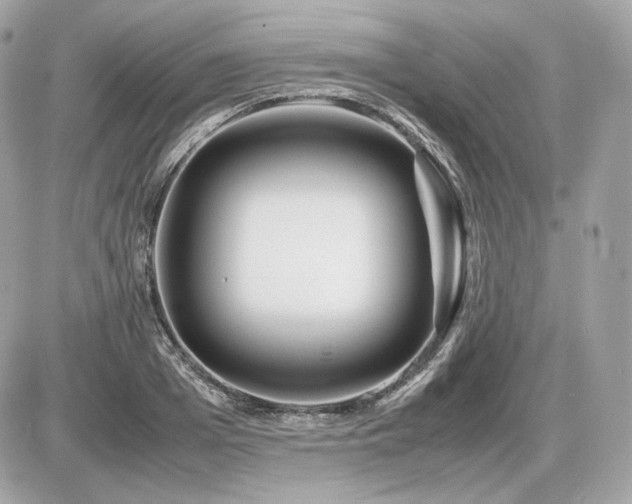 X0000086960985200704161514