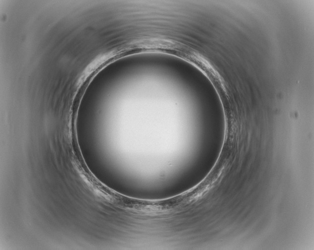 X0000086960986200704161514
