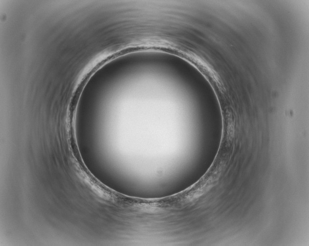 X0000086960990200704161514