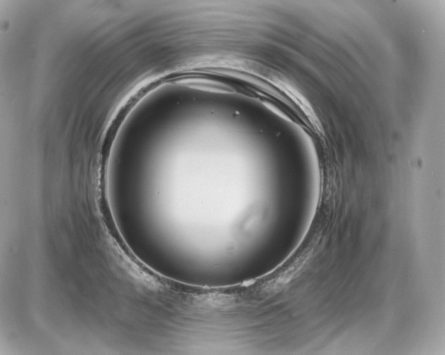 X0000086960992200704161514