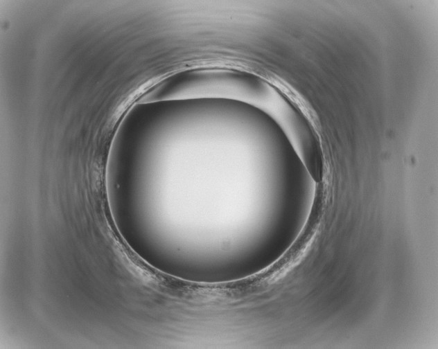 X0000086960993200704161514