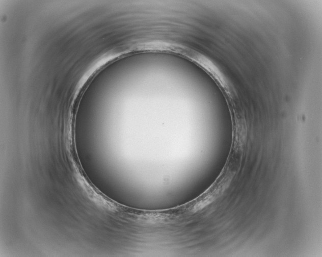 X0000086961000200704161514
