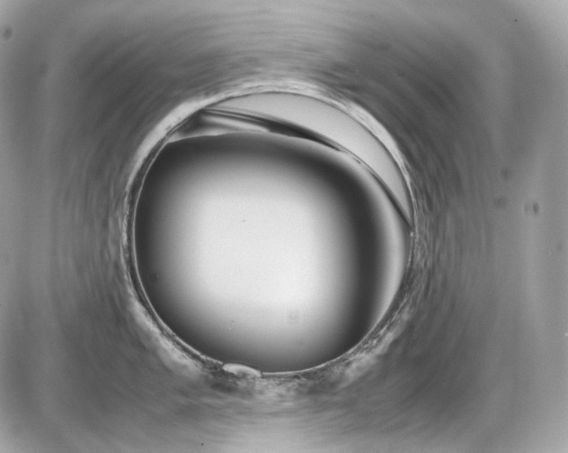 X0000086961005200704161514
