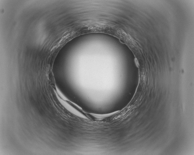 X0000086961012200704161513