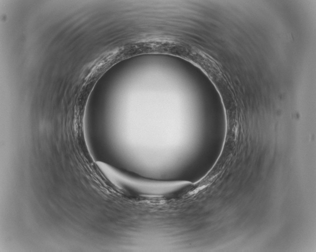 X0000086961014200704161513