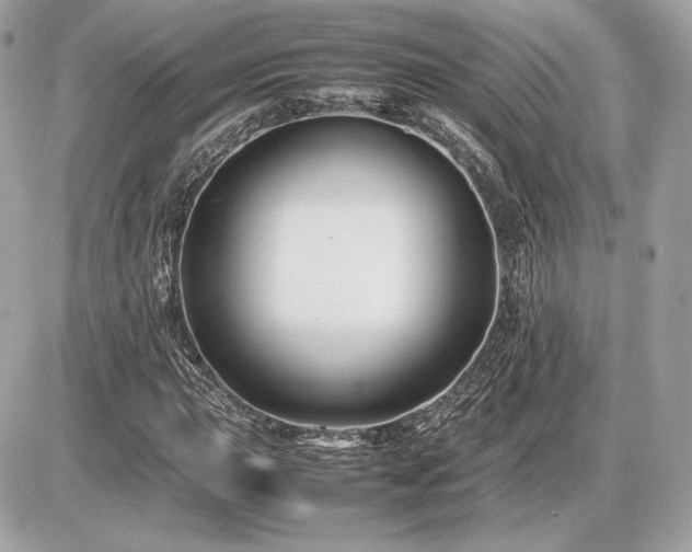 X0000086961015200704161513