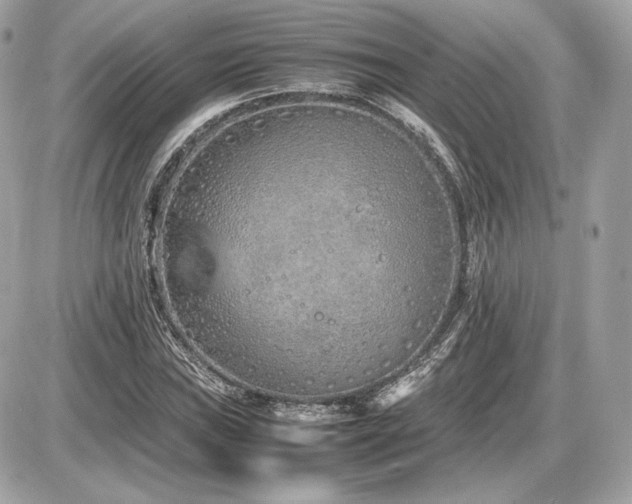 X0000086961019200704161513