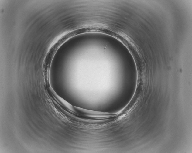X0000086961022200704161513