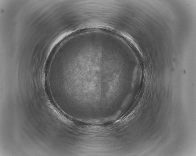 X0000086961024200704161513