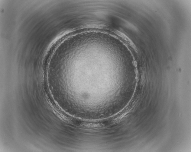 X0000086961027200704161513