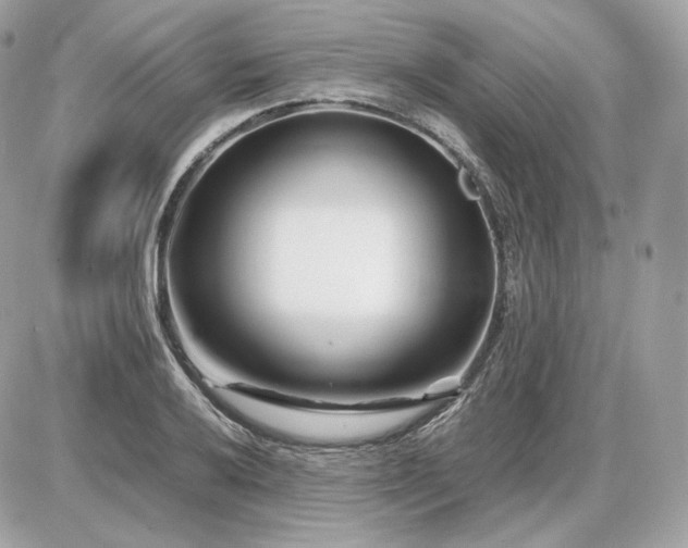 X0000086961032200704161513