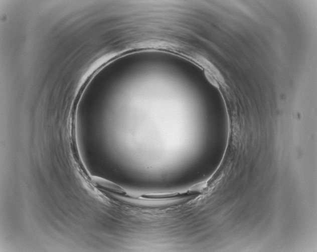 X0000086961044200704161514