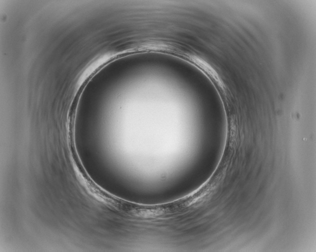X0000086961047200704161514